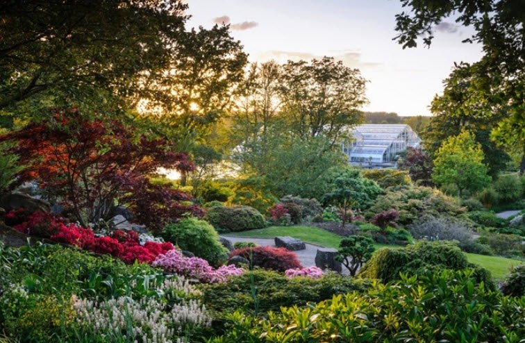 RHS Garden Wisley, United Kingdom